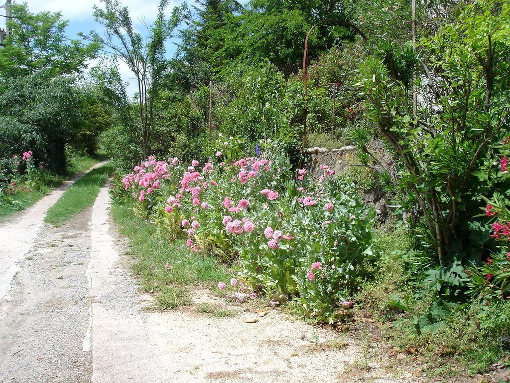 科丽布鲁住宿加早餐旅馆 Banne 外观 照片